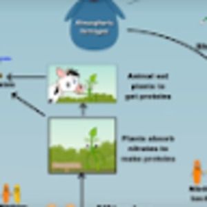 Meet your Posher, Angelina